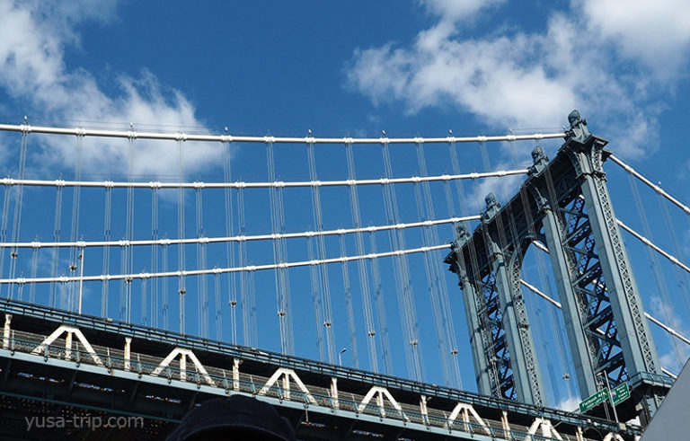 トロヤ：史上最もフォトジェニックな犬